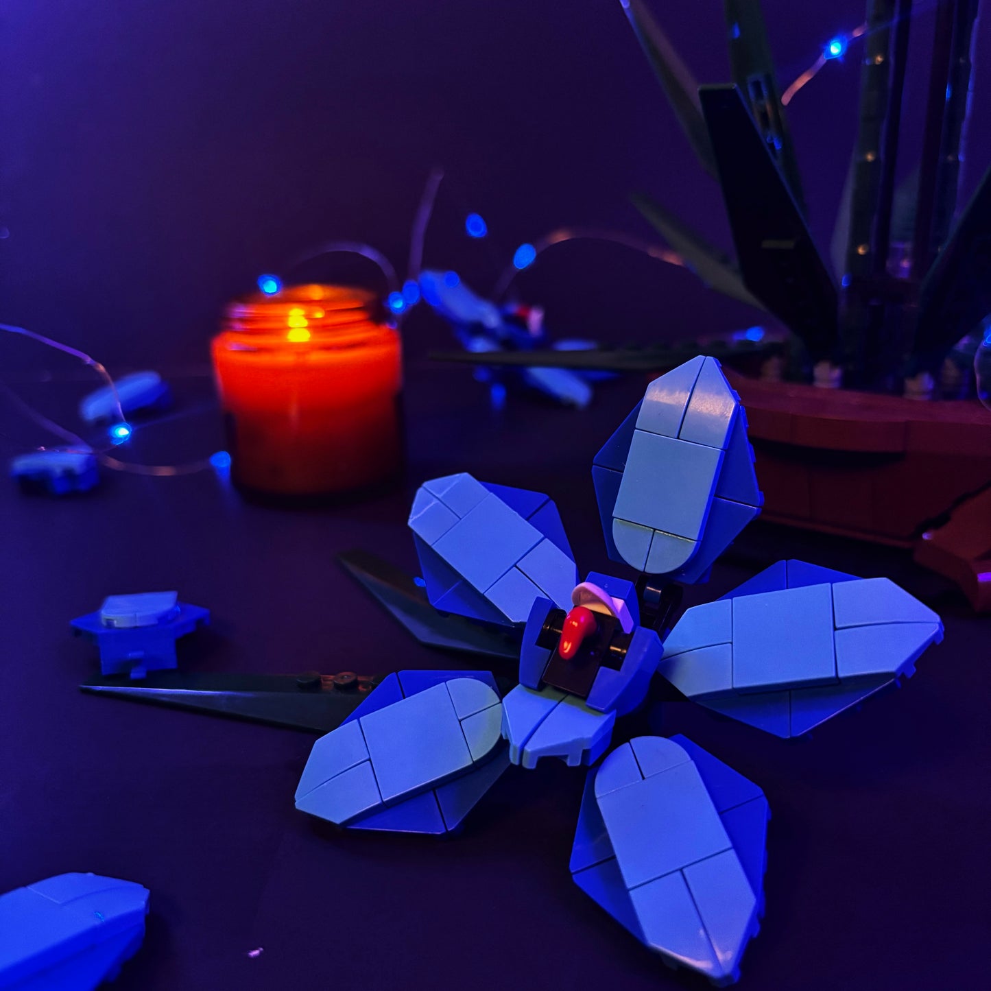 MoonLight Orchid Candle & Bloom Date Box