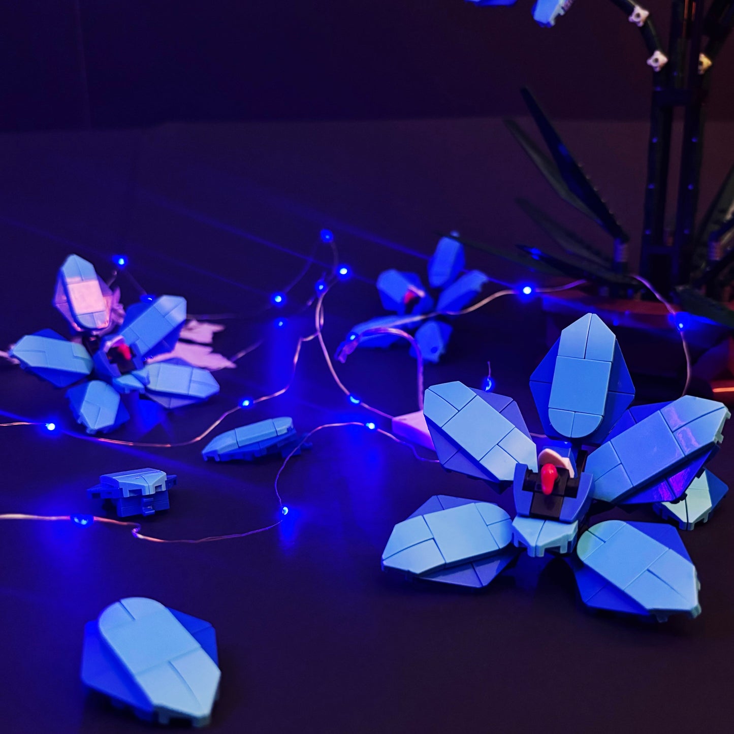 MoonLight Orchid Mini Date Box