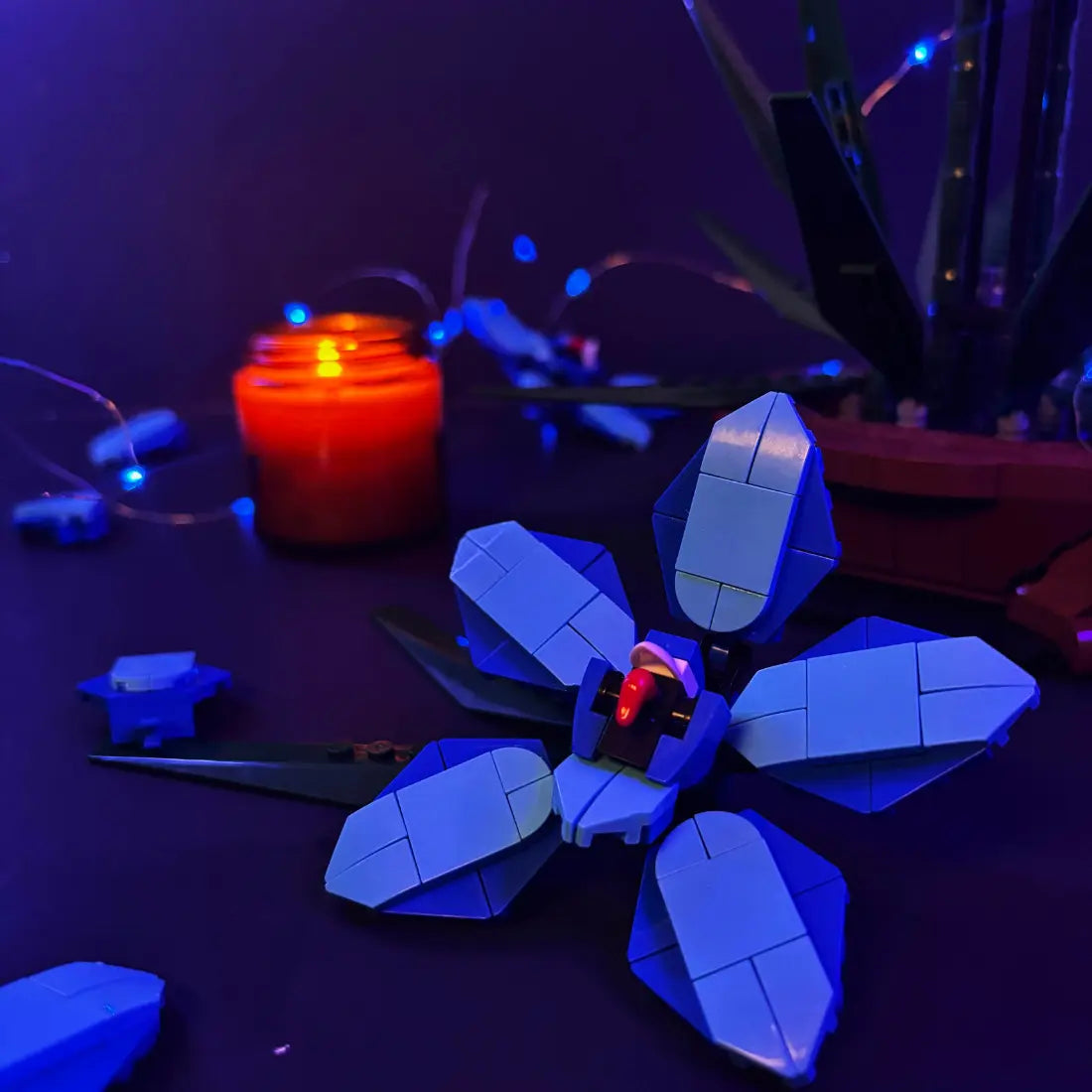 Moonlight Orchid Full Experience Date Box